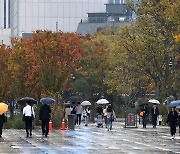 '호우·강풍특보' 경남 지리산 96.5㎜…밤새 나무쓰러짐 등 피해 5건