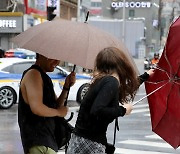 밤사이 대전‧충남 강풍피해 17건 접수…내일까지 강한 바람(종합)