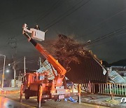 '나무 꺾이고 간판 떨어져'…경기도서 강풍에 3명 부상·117건 안전조치