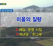 미움의 질량 외