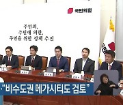 ‘메가 서울’ 논란… “비수도권 메가시티도 검토”