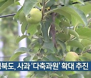 경북도, 사과 ‘다축과원’ 확대 추진