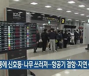 강풍에 신호등·나무 쓰러져…항공기 결항·지연 속출