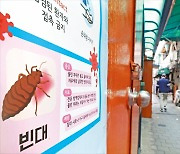 "설마 우리집도?"…서울까지 '빈대 출몰' 공포 확산