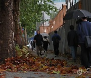 거리에 수북히 쌓인 낙엽