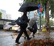 거리에 수북히 쌓인 낙엽