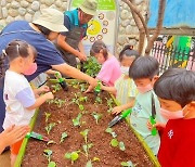 군산시, 도시농업 녹색공간(텃밭) 조성사업 확대 추진