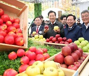 [포토] 경북사과 홍보행사 참석한 오세훈 시장