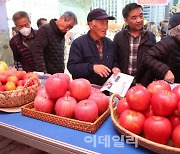 [포토] 경북사과 판매하는 서울광장