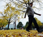 [오늘의 날씨] 광주·전남(7일, 화)…강한 바람에 체감온도 '뚝'