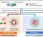 한미 연구진, 신개념 약물 전달 기술 개발…생체이용률 8배 향상