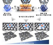 KAIST “백금계 대체 ‘연료전지 촉매’ 개발”