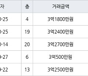 수원 원천동 원천레이크파크 49㎡ 3억1800만원에 거래