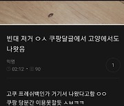 `쿠팡 빈대설`에 `KTX 빈대`까지 곳곳서 빈대 목격담 속출