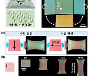 부산대, 방향 따라 색상 바뀌는 3D 프린팅 소재 개발