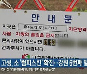 고성, 소 ‘럼피스킨’ 확진…강원 6번째 발생