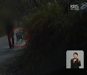 이웃집 개에 물려 손가락 절단…개 물림 사고 연간 2천 건