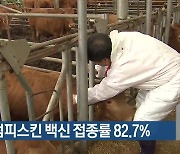 경북 럼피스킨 백신 접종률 82.7%