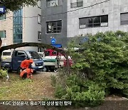 태풍급 강풍에 잇단 피해…피해 접수 230여 건