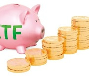 美 국채 ETF 물타기보다 '배당 ETF'에 관심 가져라