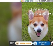 ‘경기도 동물 입양 문화 확산 공익캠페인’ 누적 방문자수 20만명 돌파