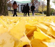 '입동 하루 앞' 대구·경북, 흐리다 맑아짐…낮 10~17도