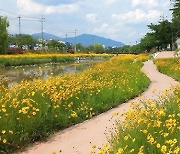 "물길 따라 걷는 제천 둘레 한바퀴" 제천시 15㎞ 순환 산책로 조성