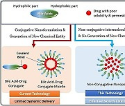 한미연구진, 약물 생체이용률 8배 높인 '기술 개발'…"제약사 문의 쇄도"