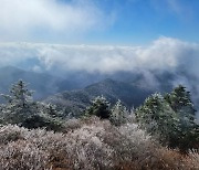 지리산 반야봉에 핀 첫 상고대