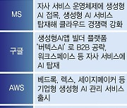 MS, AI 접목한 오피스 유료화로 성과···韓기업은 B2B 시장서 승부수