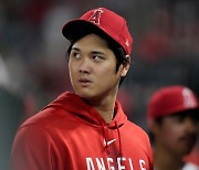 '오타니 2년 만의 수상' 가능할까...MLB, AL·NL MVP 최종 후보 3인 공개