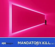 (MANDATORY KILL) SWITZERLAND ARTS