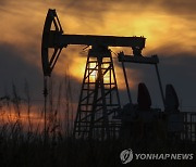 [뉴욕유가] 사우디·러시아 공급 축소 연장 재확인에 상승