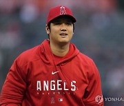 오타니 3년 연속 MLB AL MVP 최종후보…두 번째 수상 도전