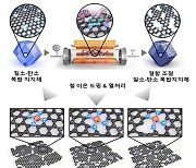 KAIST, 고성능 비 백금계 연료전지 촉매 개발