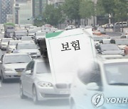 내년 車 보험료 최대 2% 내린다