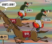 한국일보 11월 9일 만평