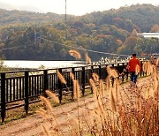 "우리 함께 걸어요"…서울대공원 가을호수 둘레길 걷는다