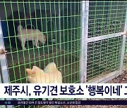 제주시, 유기견 보호소 '행복이네'  고발