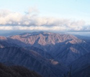 '입동' 출근길 어제만큼 춥다… 강원 태백 -2.4도·평창 -1.2도