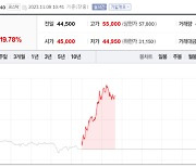 적자 탈출에 중국 진출 기대감까지…위메이드 3총사 급등세[특징주]