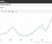 고금리·고물가, 美가계 흔드나…신용카드 연체율 '12년 최대'