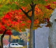 한국교원대, 제12대 총장 임용후보자 선거 공고