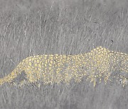 위장술로 생존해 가는 삶의 형태…윤가림 'Amid Her Golden Path'展