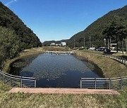 용인시, 호동 '길업습지' 생태 복원 추진