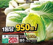 “배추 1포기 950원” 이마트, ‘2023 김장대전’ 시작