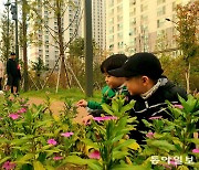 ‘수인선 바람숲길’에 꽃 향기가 물씬∼