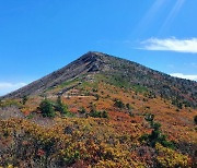 '산불 막아라' 국립공원 탐방로 120곳 통제...인화물질 적발시 과태료