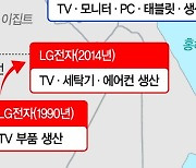 이집트에 공들이는 삼성·LG, 중동시장 공략 고삐 죈다