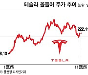 바닥서 12% 올라온 테슬라…추가 상승 변수 4가지[오미주]